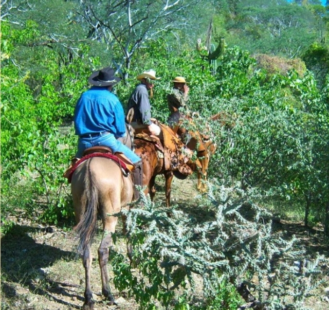  Routes through the mountains 